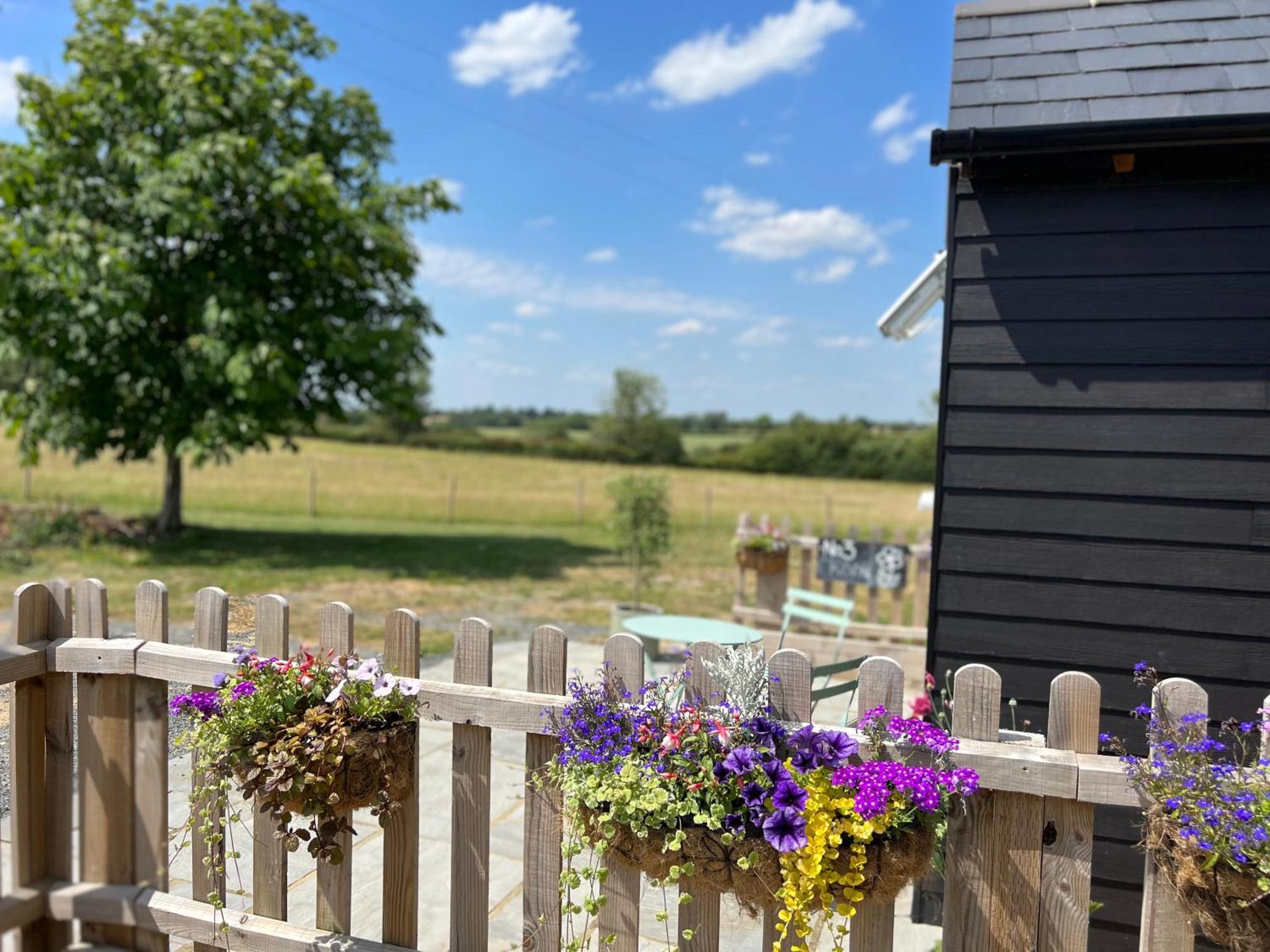 Great Sampford B&B Sorrells Farm Hempstead  外观 照片
